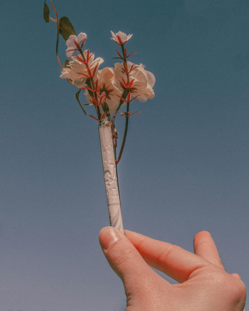 A hand holds a cigarette with flowers, symbolizing contrast, against a clear blue sky.