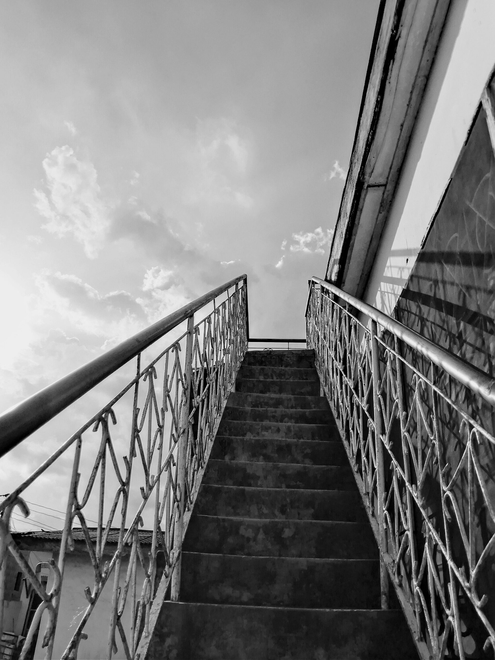pexels-photo-32565040-32565040.jpg