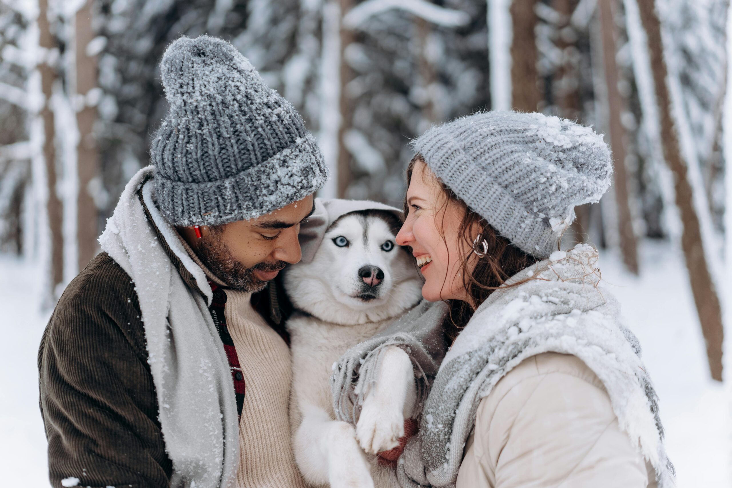 A joyful couple in winter attire hugs their Siberian husky amidst a snowy forest landscape.